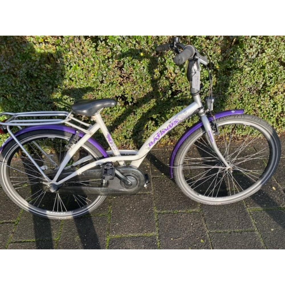 Batavus